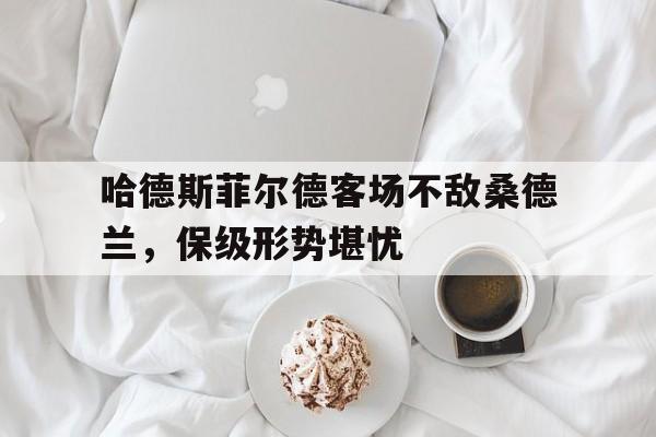哈德斯菲尔德客场不敌桑德兰，保级形势堪忧